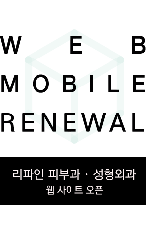리파인